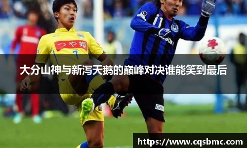 DB视讯平台DB视讯官方网站