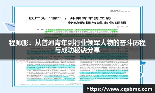 程帅澎：从普通青年到行业领军人物的奋斗历程与成功秘诀分享
