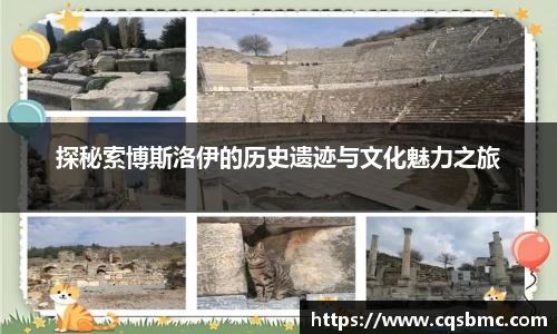 DB视讯官网